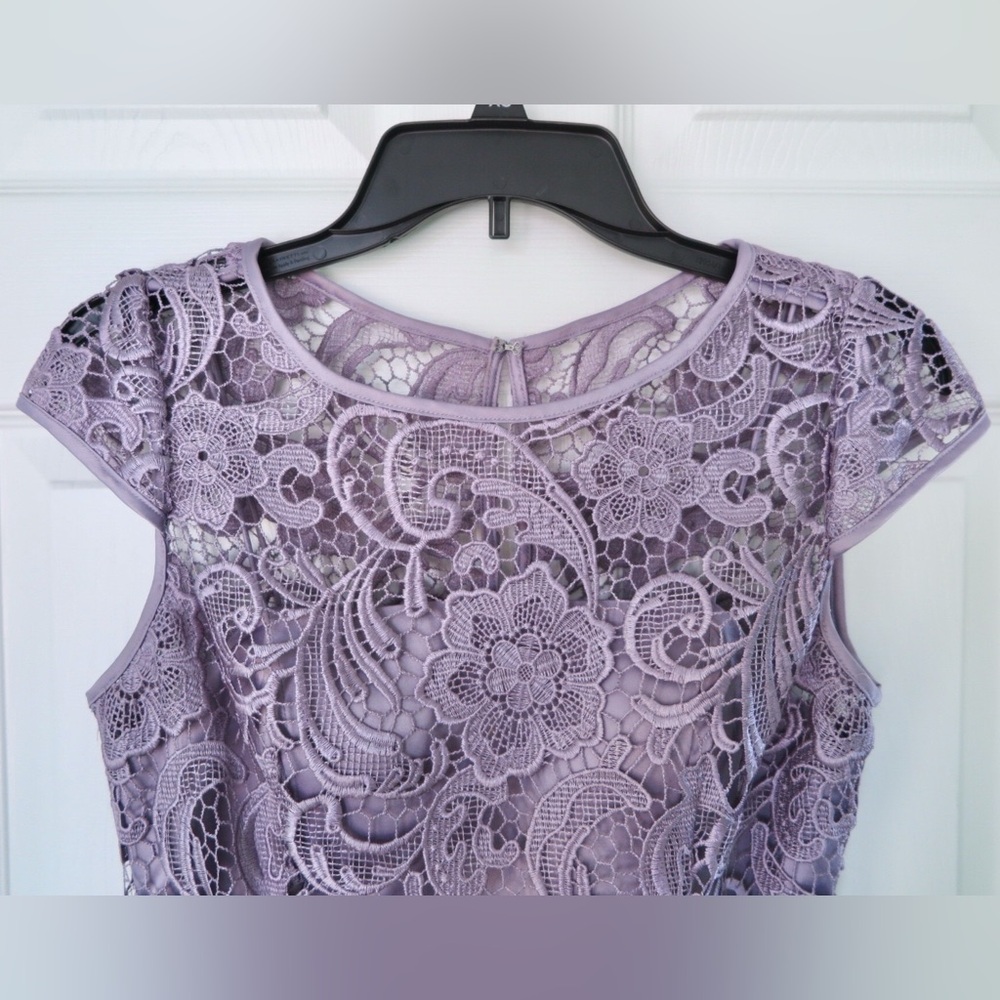 Adrianna Papell | Lavender Lace Cap Sleeve Mini Dress - Picture 3 of 4